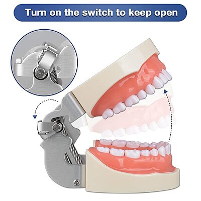 Tipodonto Craneomex c/cavidades