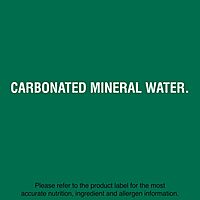 Perrier Carbonated Mineral Water Plastic Bottles, Original, 16.9 Fl Oz (Pack of 24), 405.6 Fl Oz