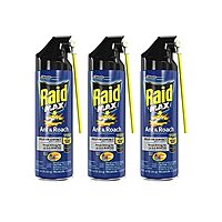Raid Max Ant & Roach Aerosol Spray 14.50 oz (Pack of 3)