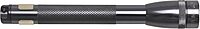 MAGLITE Mini Incandescent 2-Cell AAA Flashlight with Pocket Clip