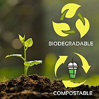 Planet+ 100% Compostable PLA Lids for 9/12/16/20/24-Ounce Clear Cold Cups, Flat Style, 1000-Count Case