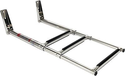 Telescopic Ladder