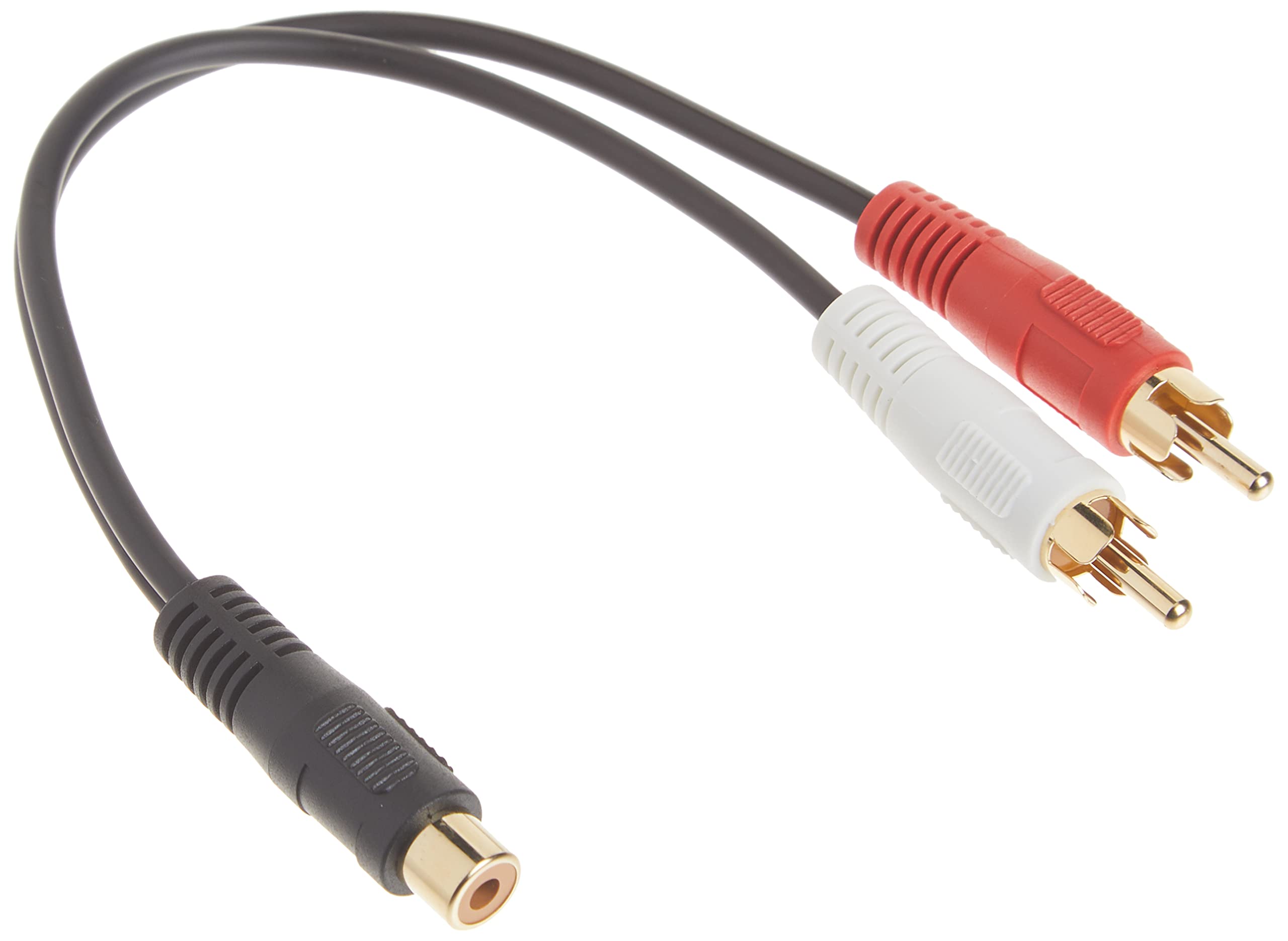 C2G Legrand RCA Female to Two RCA Male Signal Splitter Cable, Black RCA to RCA Splitter, 6 Inch Audio Stereo Y-Cable