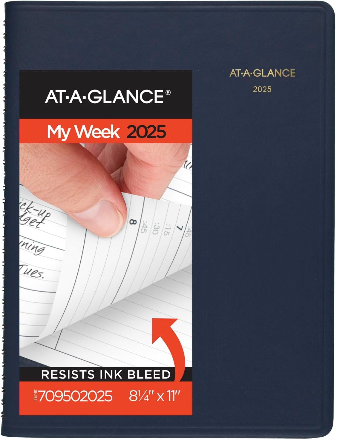 AT-A-GLANCE Weekly Appointment Book Planner, Large