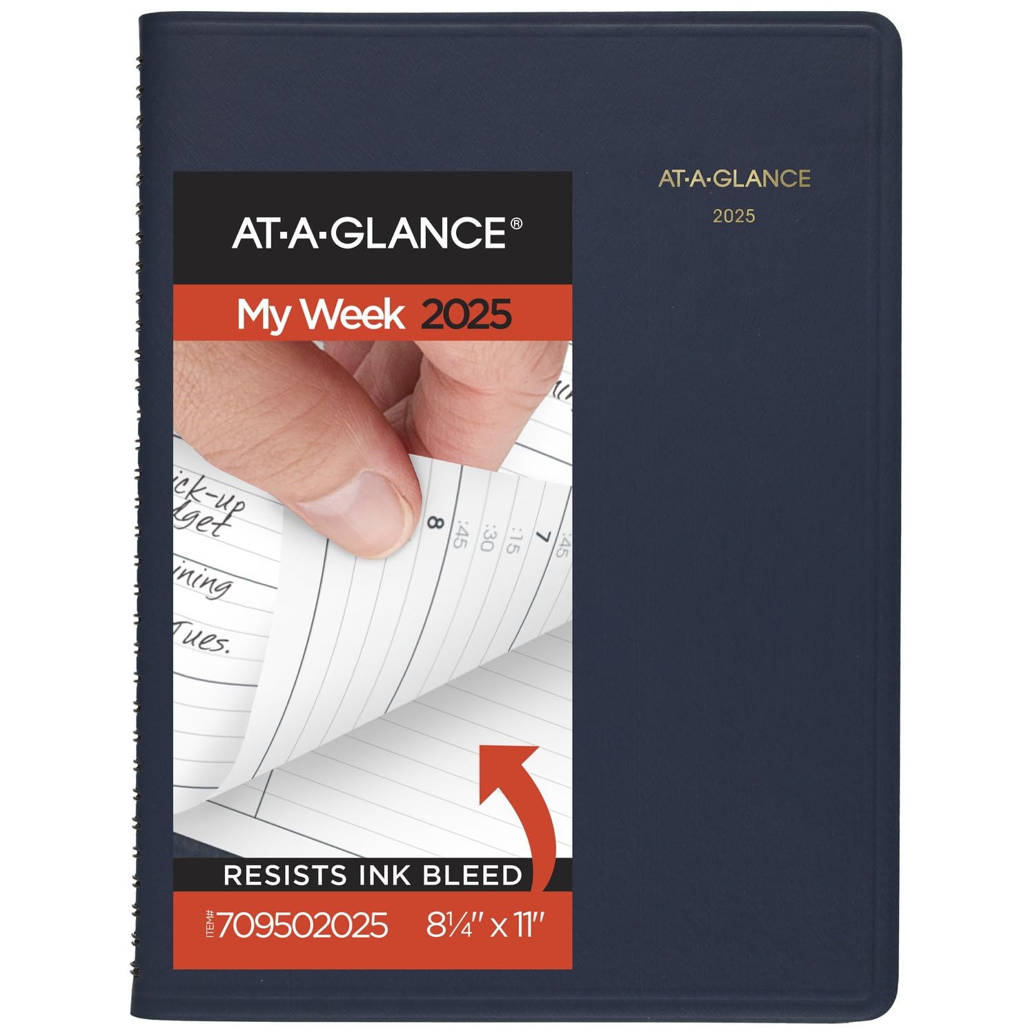 AT-A-GLANCE Weekly Appointment Book Planner, Large