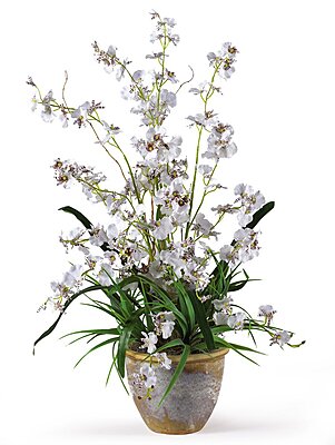 Nearly Natural 1005-WH Dancing Lady Silk Orchid Arrangement White 29" x 10.25" x 10.25"