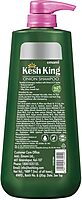 Kesh King Organic Onion Shampoo With Curry Leaves - 300ml