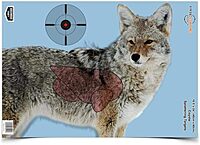 BIRCHWOOD CASEY Pregame Big Game Animal Targets - Photo-Realistic Instant Splattering