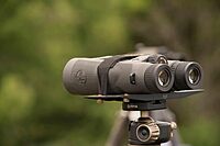 Leupold Binocular Tripod Adapter Tray, Black, Mount: 1/4-20