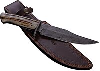 BucknBear Custom Handmade 1095 Damascus Fixed Blade Bowie Hunting Knife (Stag Handle)