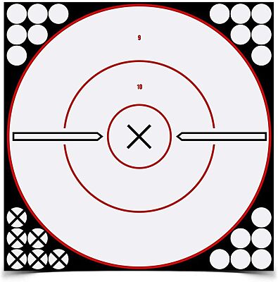 BIRCHWOOD CASEY Shoot-N-C White/Black X-Bull's-Eye Reactive Targets - Highly Visible Instant Feedback Self-Adhesive Shooting