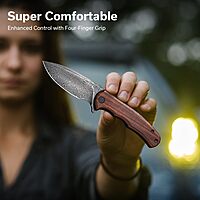 CIVIVI Mini Praxis Folding Pocket Knife for EDC, 2.98" Blade