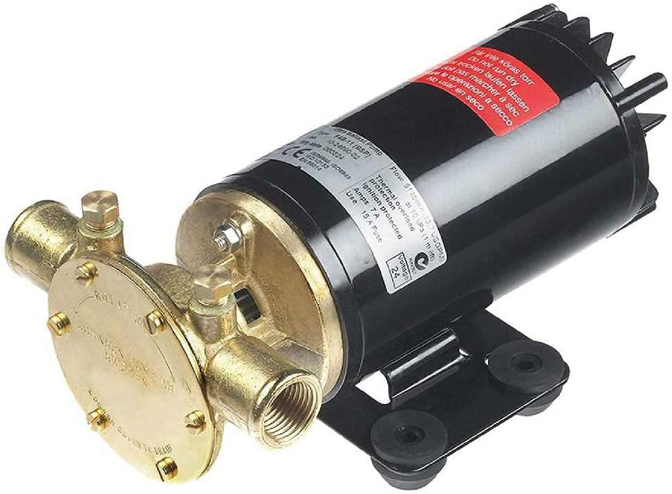 Johnson Pumps 10-24690-18 Rogue Ballast Pump 13.5 Gpm 12V, Black