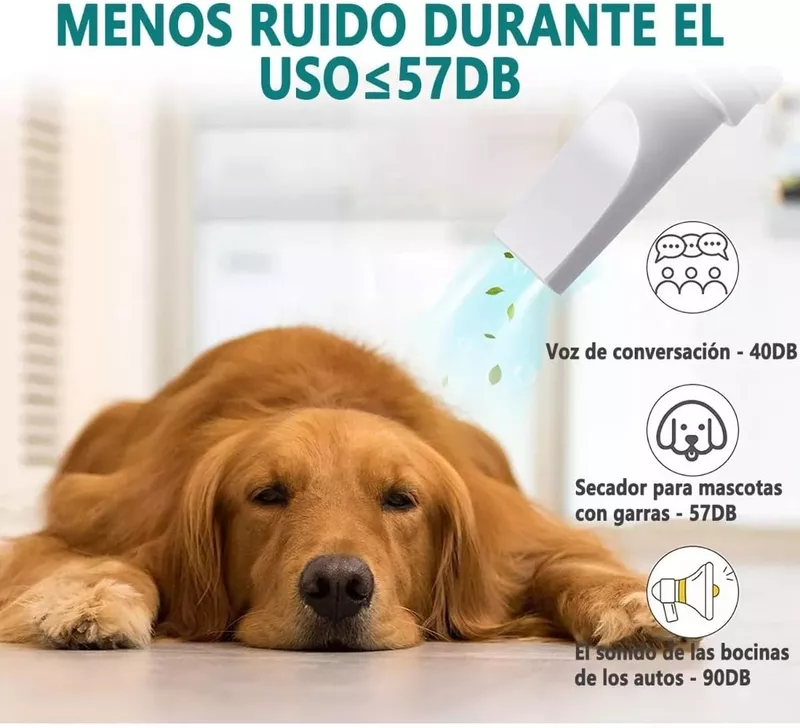 Secadora para Perro de Pelo Profesional con Visualización LED,