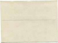 JAM PAPER Opal Stardream Metallic Invitation Envelopes