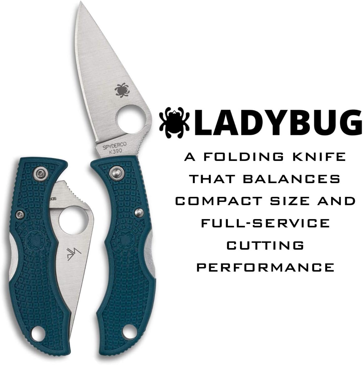 Spyderco Ladybug 3 Lightweight Knife with 1.97" K390 Premium Stainless Steel Blade and Durable Blue FRN Handle - PlainEdge