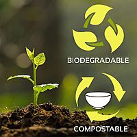 STALKMARKET 100% Compostable Natural Plant Fiber Plates