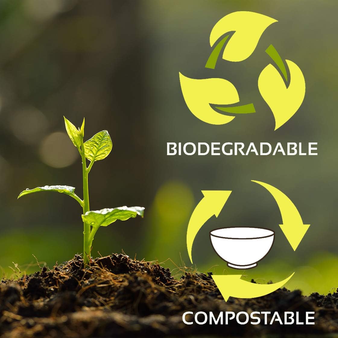 100% Compostable Natural Plant Fiber Bowl, 32-Ounce, (Pack of 500) 32-Ounce 500-Count