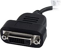 StarTech.com DisplayPort To DVI Adapter - Active - 1920x1200 - DP to DVI - DisplayPort Adapter Converter