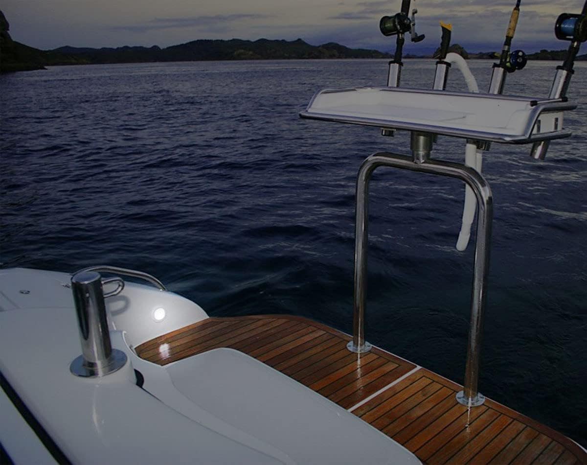 Hella Marine Slim Line LED 'Enhanced Brightness' Round Courtesy Lamp - White LED - Stainless Steel Bezel - 12V