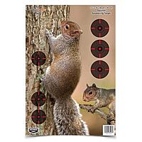 BIRCHWOOD CASEY Pregame Small Game Animal Targets - Photo-Realistic Instant Splattering Shooting Targets