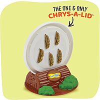 Insect Lore Raise and Release Butterfly Garden Kit – Caterpillar Habitat with redeemable Voucher – STEM-accredited Live Butterfly Growing Kit for Kids, Classrooms, and Homeschool Learning