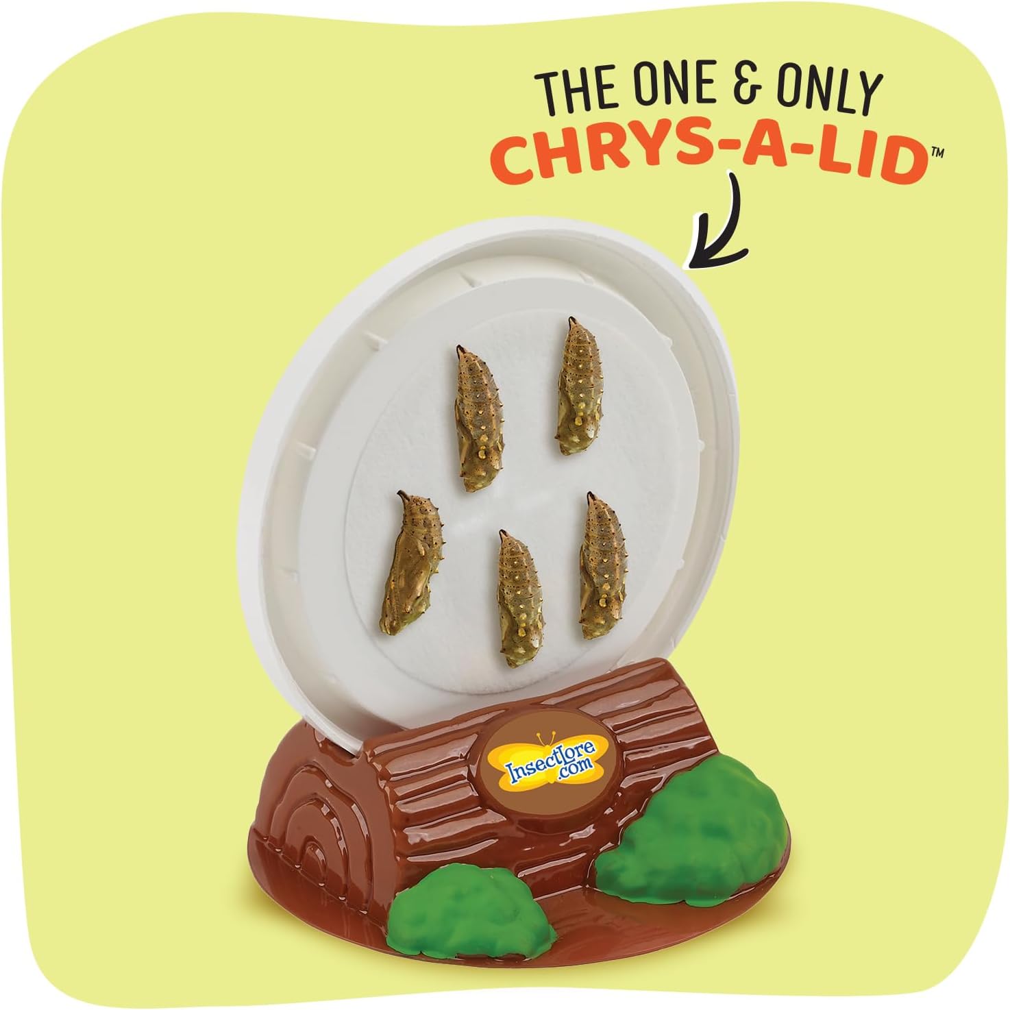 Insect Lore Raise and Release Butterfly Garden Kit – Caterpillar Habitat with redeemable Voucher