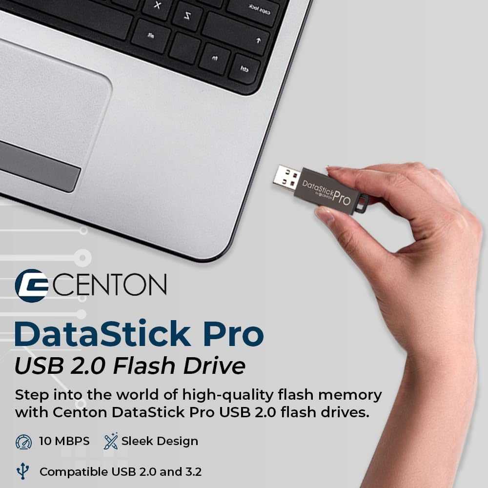 Centon Electronics DataStick Pro USB 2.0 Flash Drive, 4 GB, 10 USB Flash Drives, 10 Bulk Pack, Grey Black 4 GB