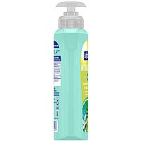 Softsoap Antibacterial Liquid Hand Soap Pump - 11.25 fl. oz. Bottle Citrus 1 Count (Pack of 1)