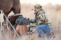 STEINER HX Series Binoculars