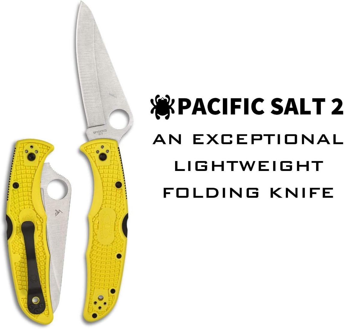 Spyderco Pacific Salt 2 Lightweight Folding Knife