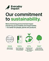 Belkin Dual Port USB Charger Block 24W - iPhone Charger Fast Charging - iPhone 16, 15, 14, iPad Pro, Samsung Galaxy S25