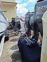 Siren Marine Battery Sensor f/Siren 3