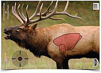 BIRCHWOOD CASEY Pregame Big Game Animal Targets - Photo-Realistic Instant Splattering