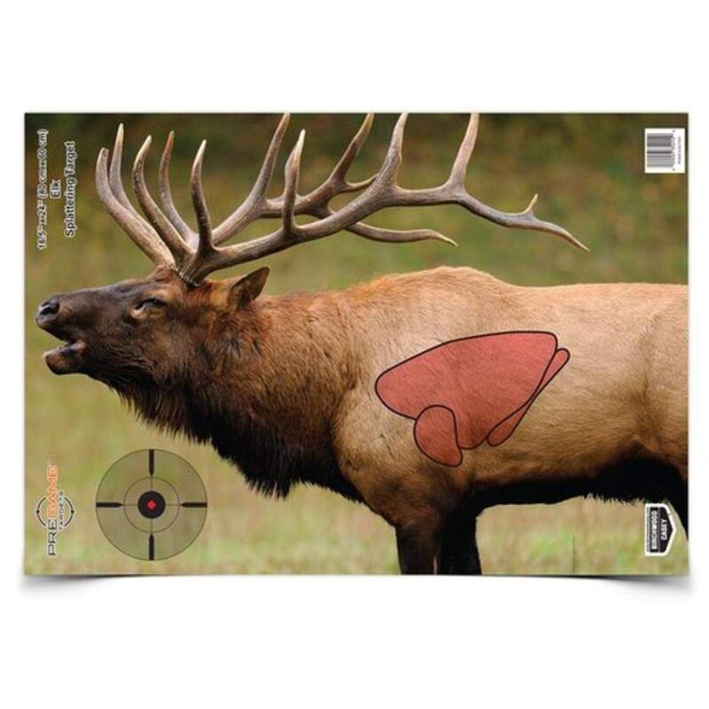 BIRCHWOOD CASEY Pregame Big Game Animal Targets - Photo-Realistic Instant Splattering