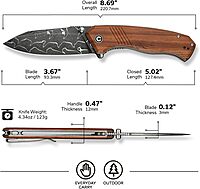 CIVIVI Placoid Folding Pocket Knife for EDC, 3.67" Blade