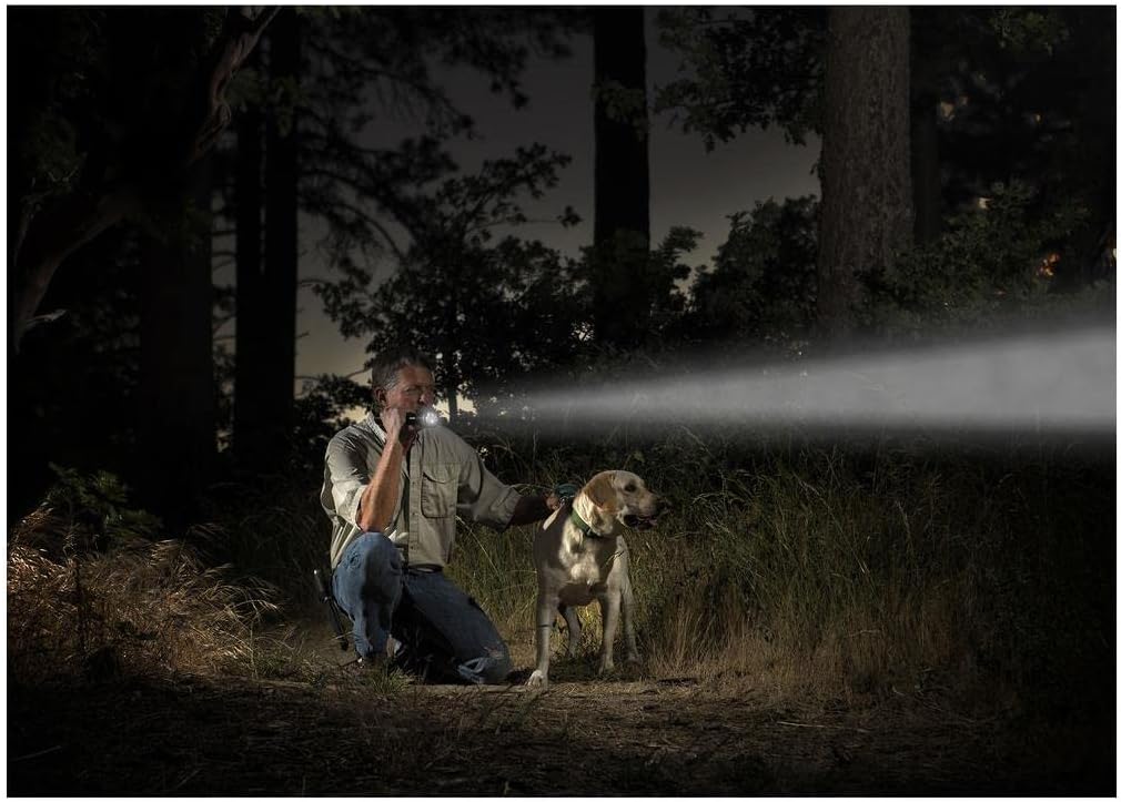 MAGLITE ML25LT LED 3-Cell C Flashlight