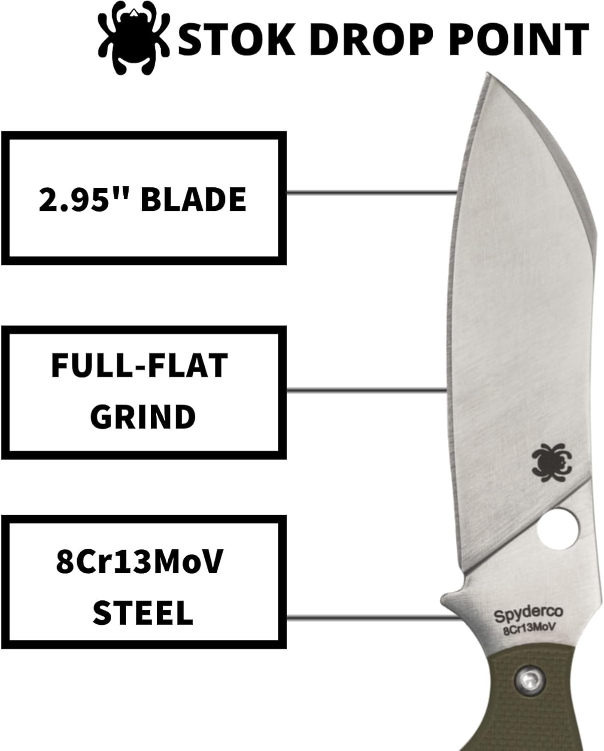 Spyderco Stok Drop Point Compact Fixed Knife - 8Cr13MoV Steel Blade with G-10 Handle, Full-Flat Grind, PlainEdge - FB50GPOD