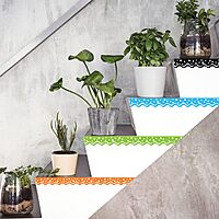 Barker Creek Double-Sided Scalloped Border (Happy)