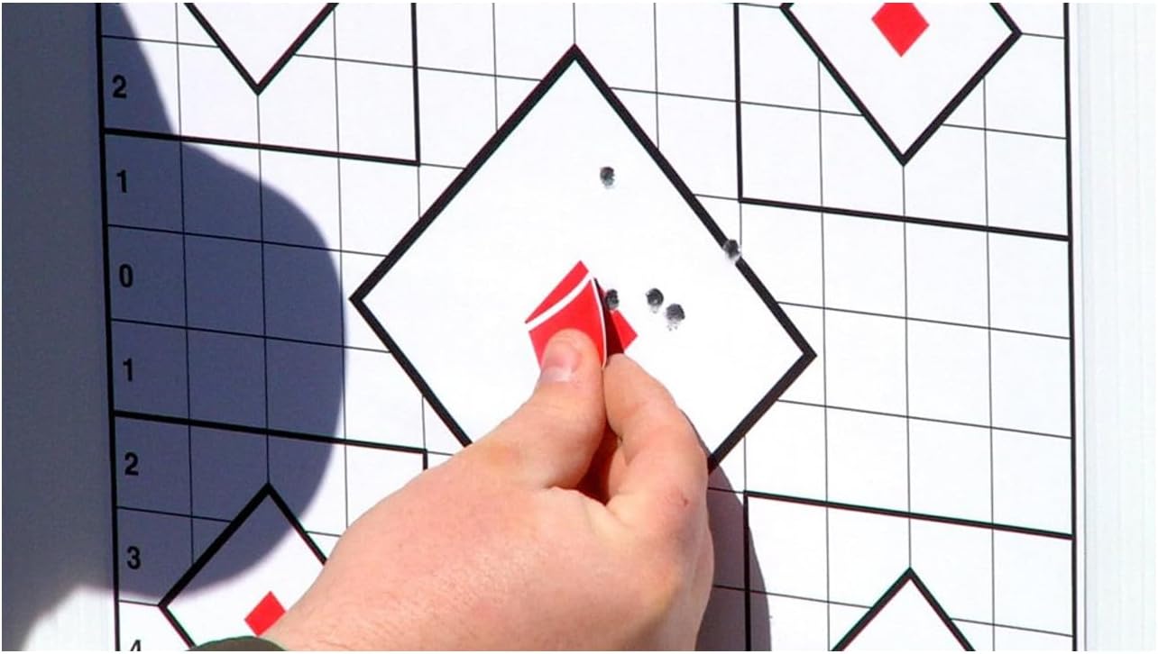 Birchwood Casey Stick-A-Bull 12-Inch Self-Adhesive Paper Shooting Targets for Short or Long Range Practice | Repair Pasters