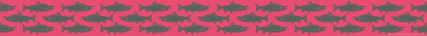 Barker Creek Double-Sided Border, Sea & Sky Salmon, Trim Out Bulletin Boards and Create Colorful Displays with 70' of