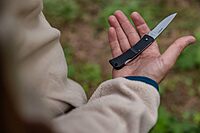 Gerber Gear LST Fine Edge Folding Pocket Knife - Lock-Back