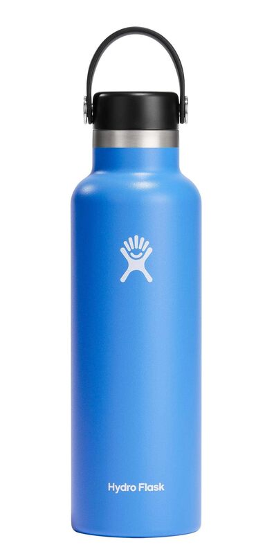 HYDRO FLASK Standard Mouth Insulated Stainless Steel Water Bottle with Flex Cap