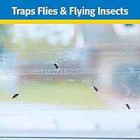 Raid Window Fly Traps, 4 Count (Pack of 4)