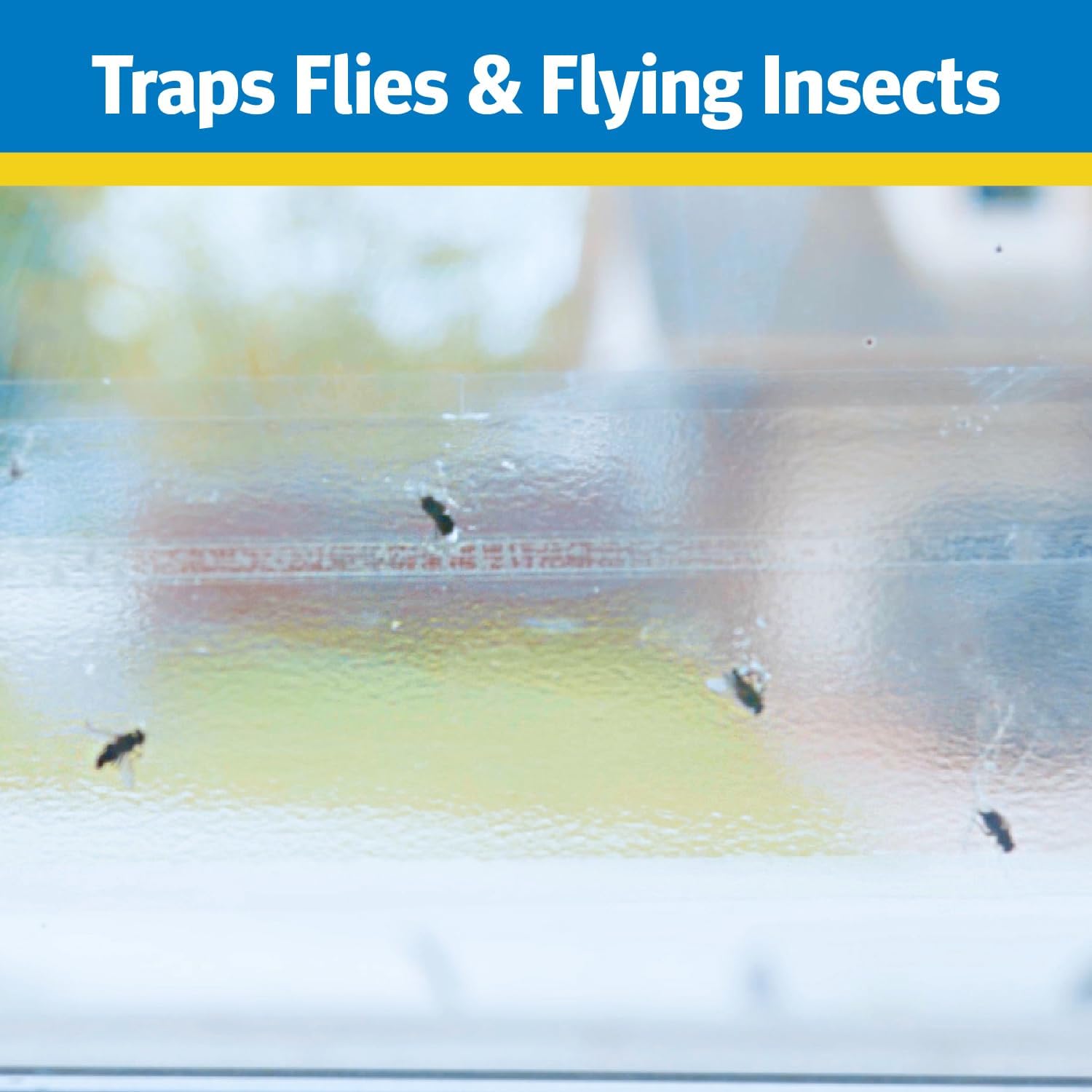 Raid Window Fly Traps, 4 Count (Pack of 4)