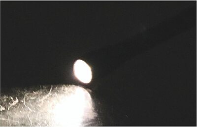 MAGLITE Mini Incandescent 2-Cell AAA Flashlight with Pocket Clip