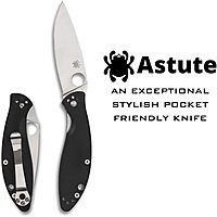 Spyderco Astute Value Knife with 3.02" Stainless Steel Blade and Durable Black G-10 - PlainEdge - C252GP