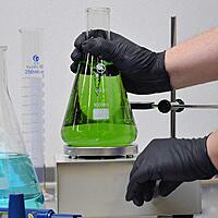 1st Choice Professional Powder-Free Exam-Grade Black Nitrile Gloves