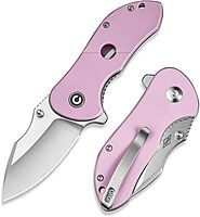 CIVIVI Gordo Folding Pocket Knife for EDC, 2.51" Blade