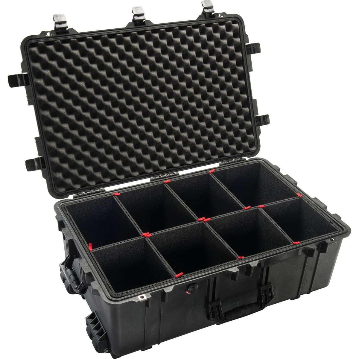 Pelican 1650 Protector Case with TrekPak
